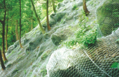 ネット（KSネット、ワイヤネット）